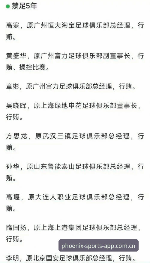 凤凰体育官网官方下载 中国足协第三批禁足名单深度评测:65人重罚背后的行业生态重构